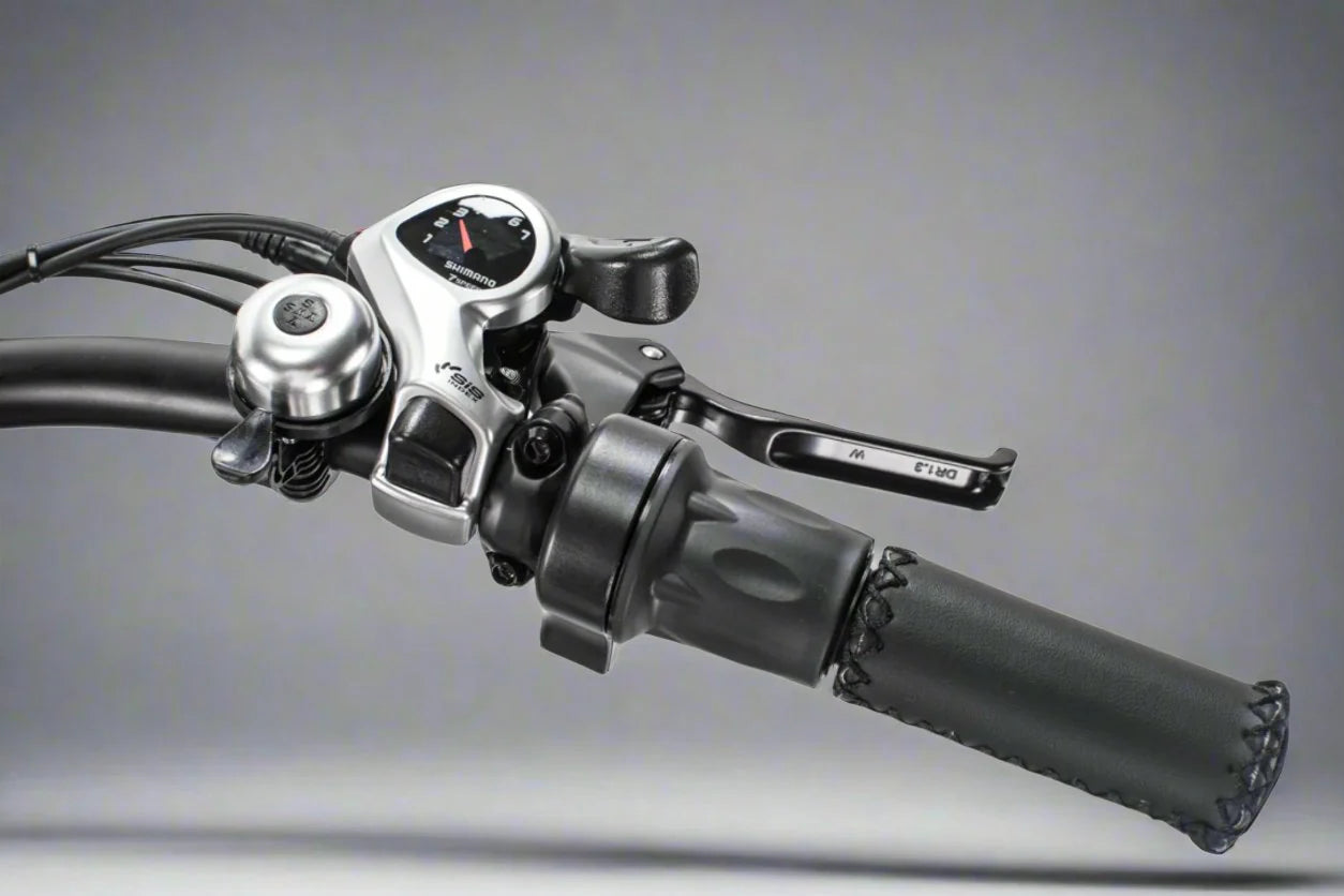 Cheetah OG Cafe' Racer Ebike