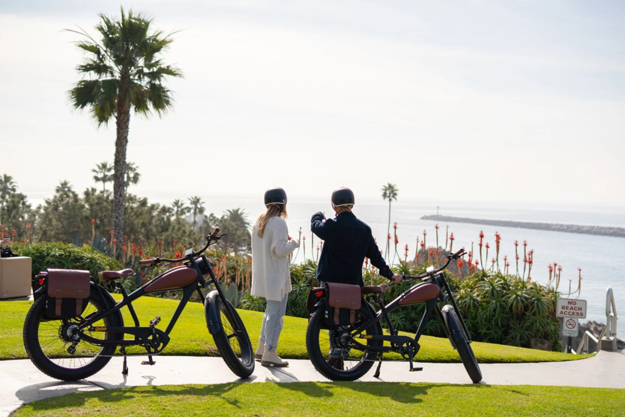 Cheetah OG Cafe' Racer Ebike